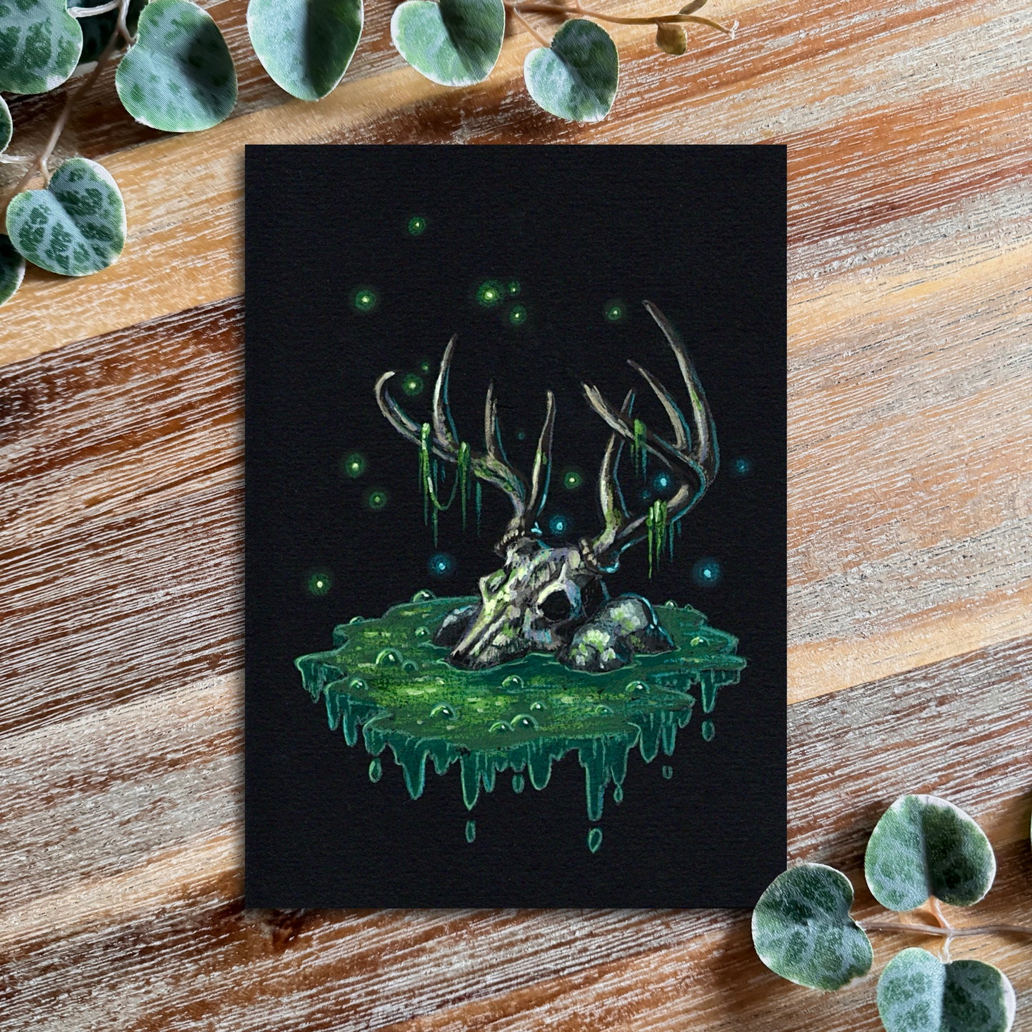 Fine Arts Prints - Lindentober 2024