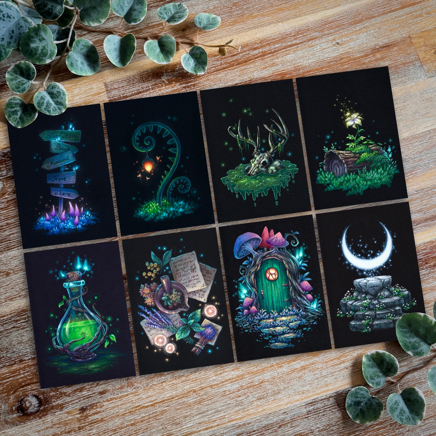 Fine Arts Prints - Lindentober 2024