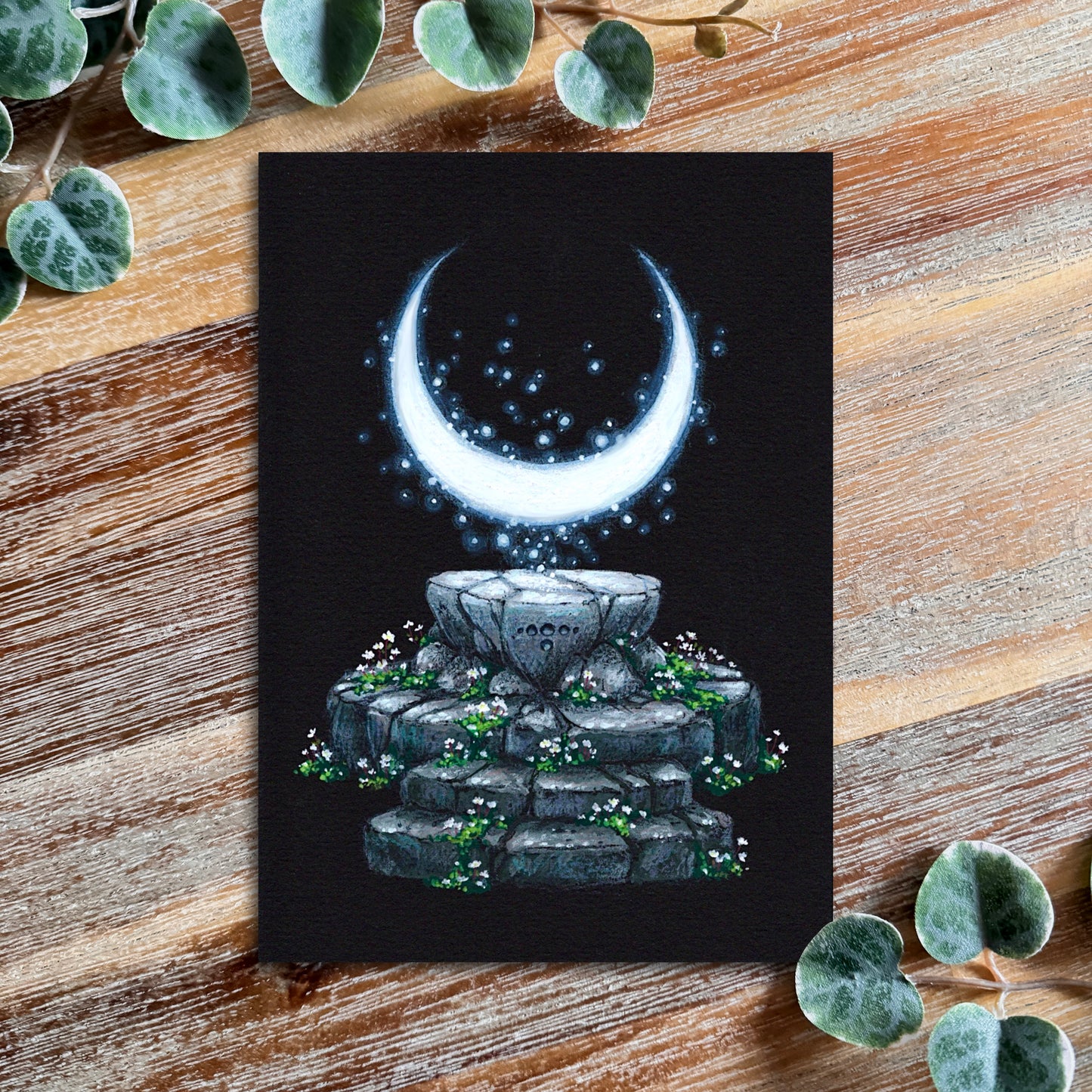 Fine Arts Prints - Lindentober 2024