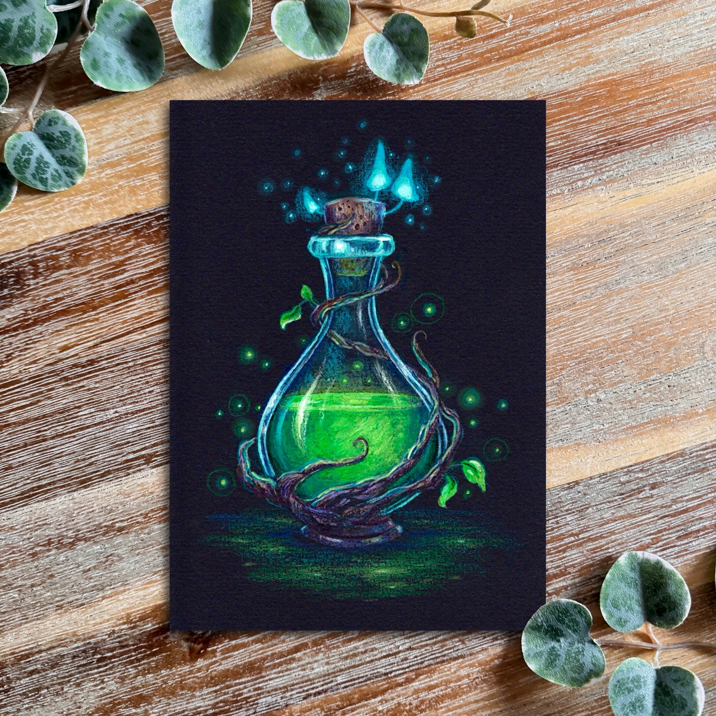 Fine Arts Prints - Lindentober 2024