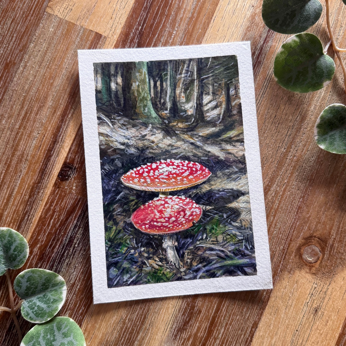 Mixed Media Originals “Amanita”