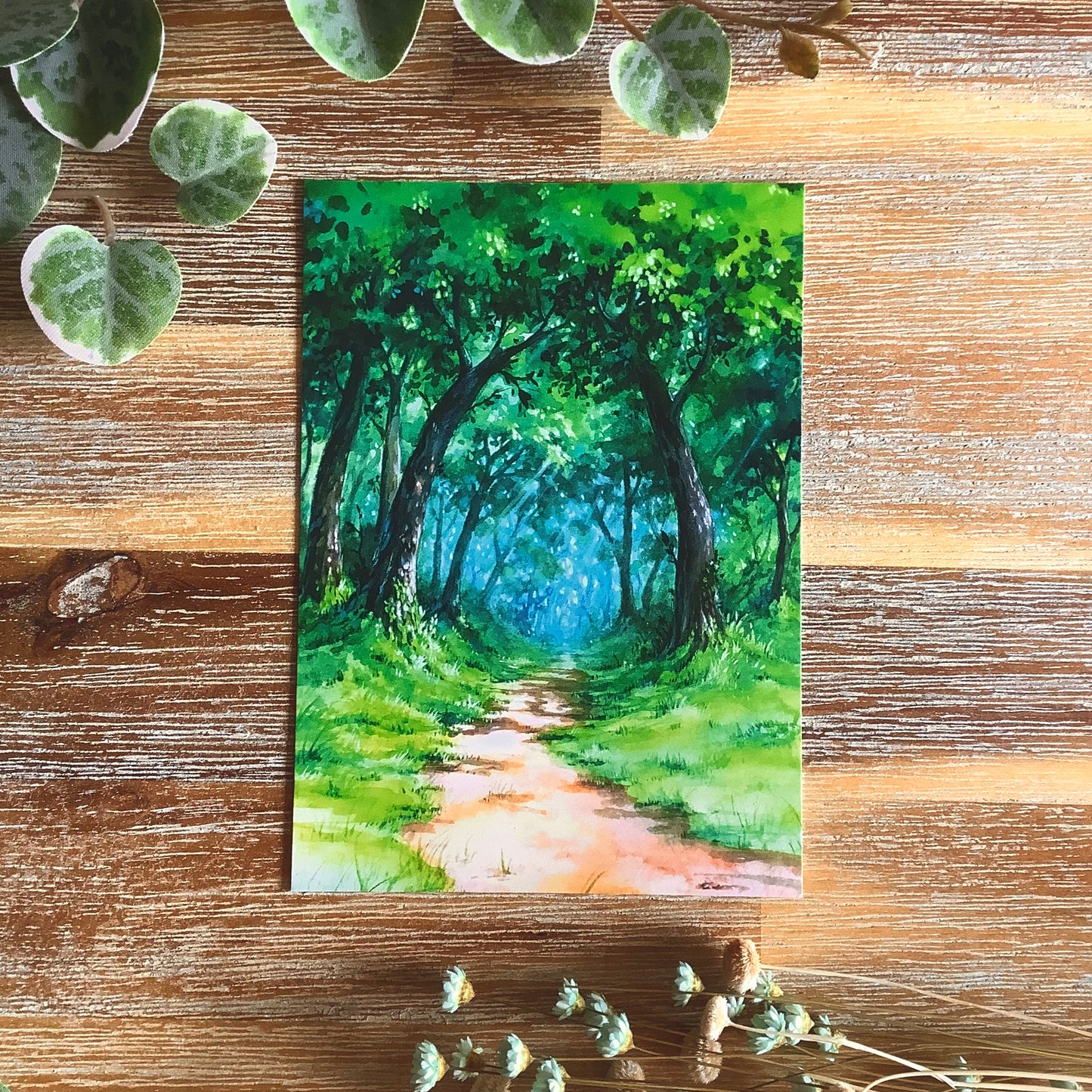 A6 Naturescape Postcards