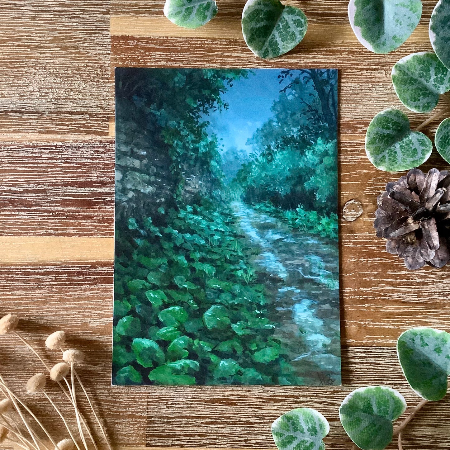 A6 Naturescape Postcards