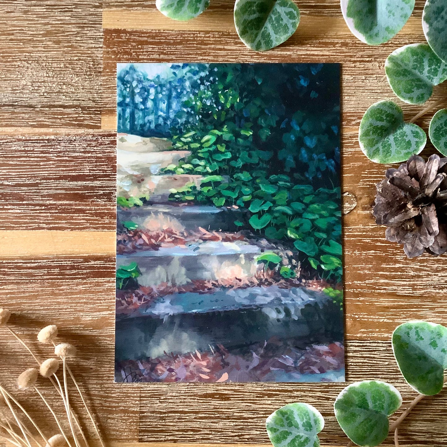 A6 Naturescape Postcards