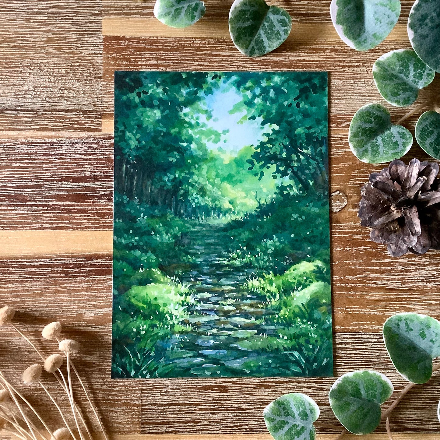 A6 Naturescape Postcards