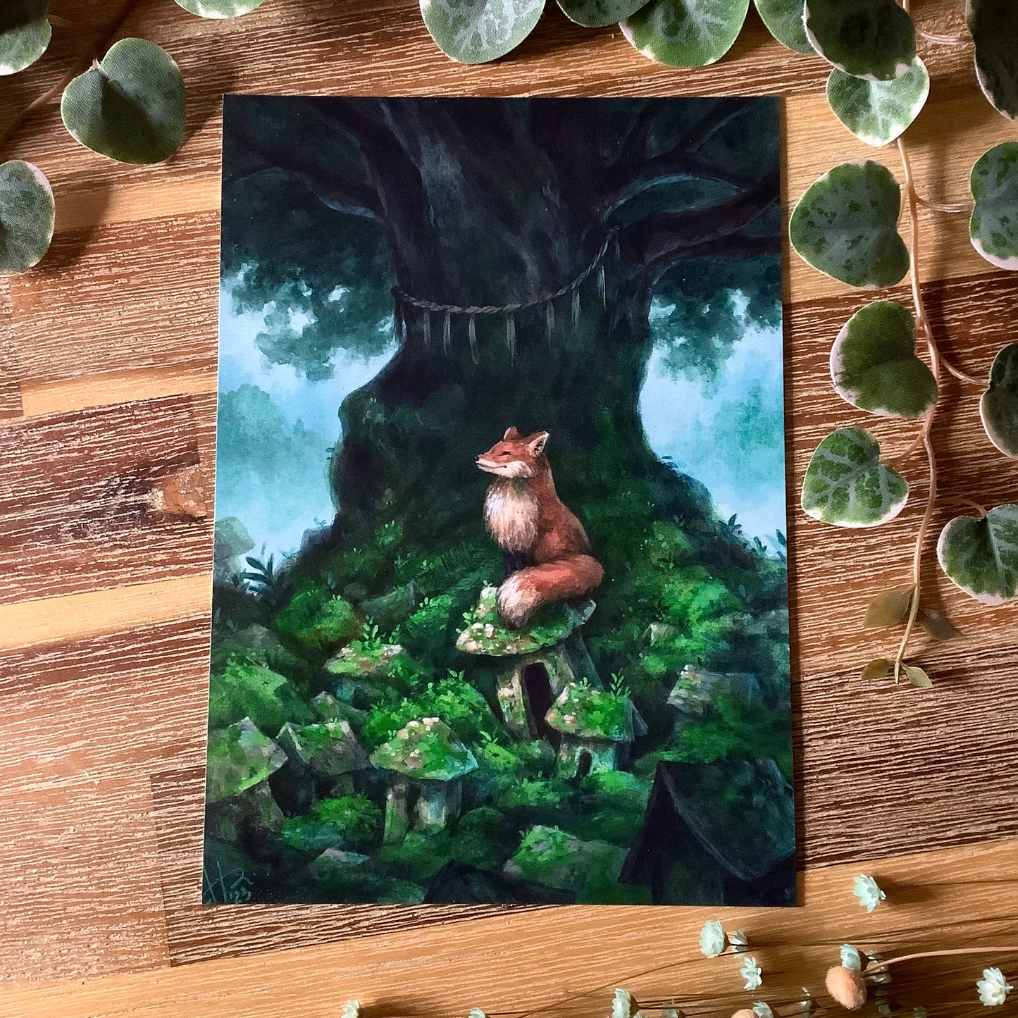 A5 Postcards “Sacred Trees”
