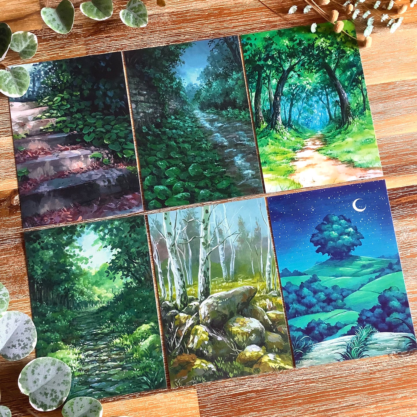 A6 Naturescape Postcards
