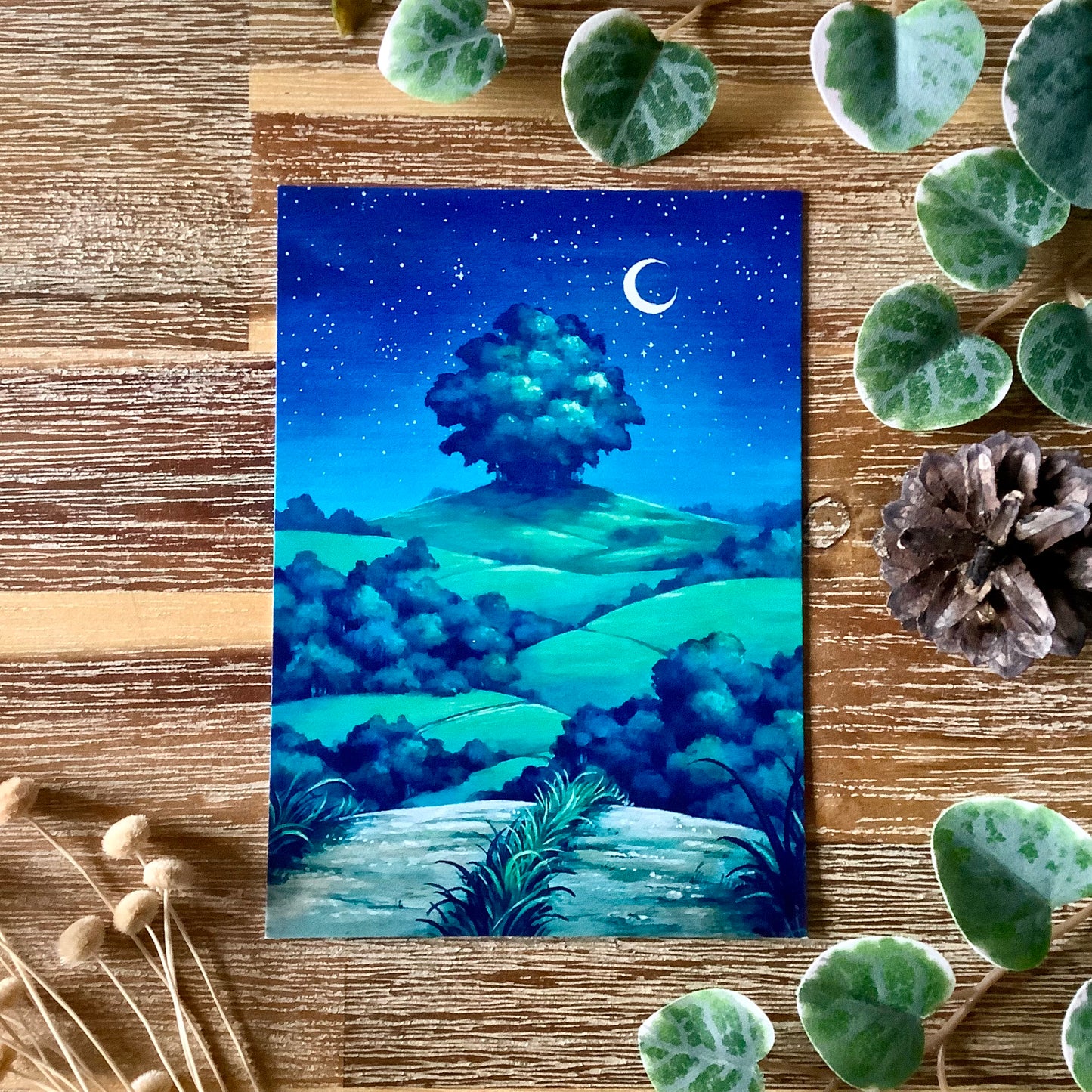 A6 Naturescape Postcards