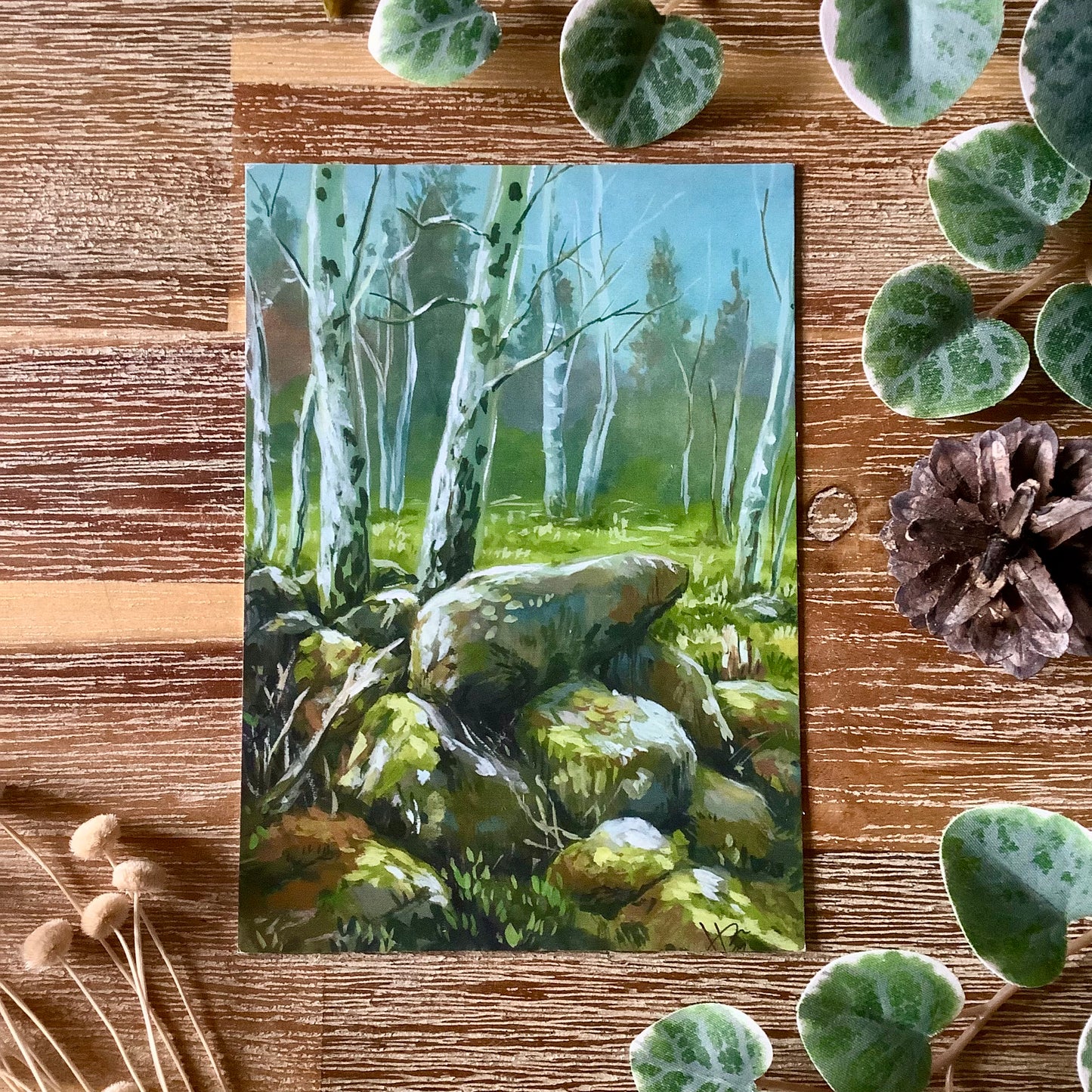 A6 Naturescape Postcards
