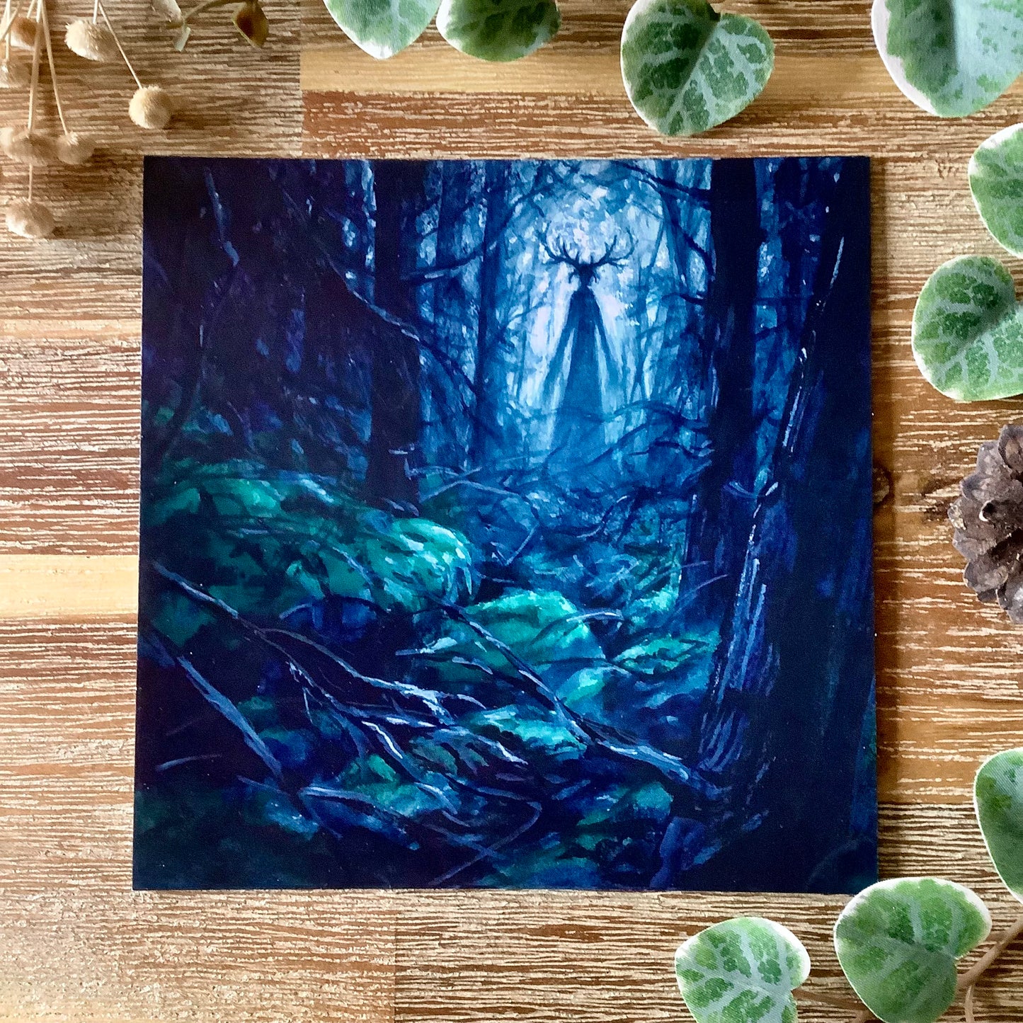 Square Postcards “Bones & Antlers”