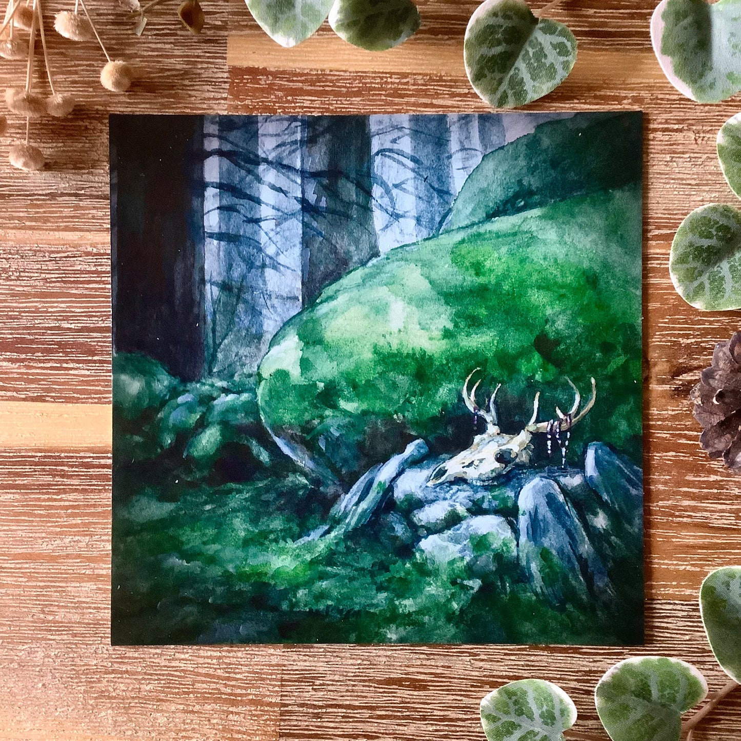 Square Postcards “Bones & Antlers”